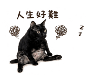 845757722