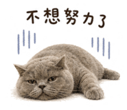 845757724