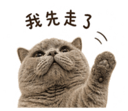 845757733