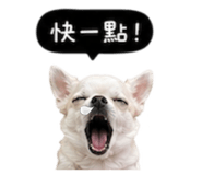 845758756