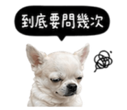 845758757