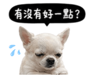 845758758