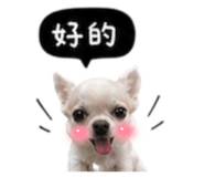 845758760