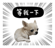 845758761