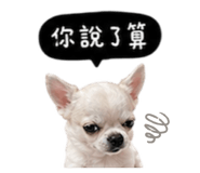 845758764