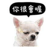 845758765