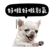 845758767