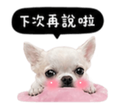 845758771