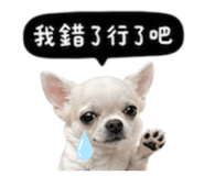 845758772