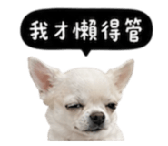 845758775