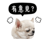 845758777