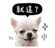 845758780