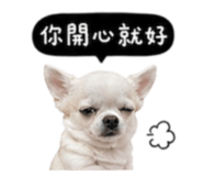 845758786