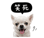 845758787