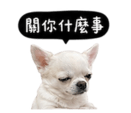 845758788