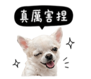 845758790