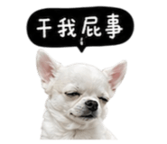 845758792