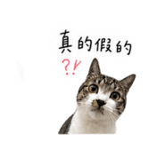 845758861