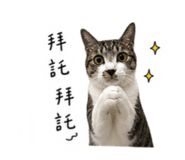 845758866