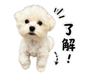 845758911