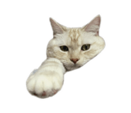 845762346