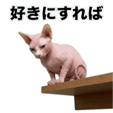 845762365