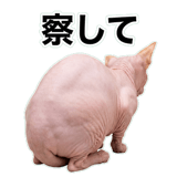 845762368