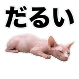 845762369