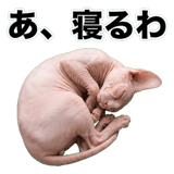 845762382