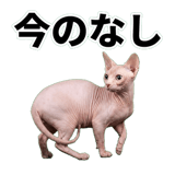 845762383