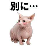 845762387