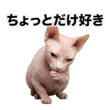 845762390