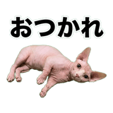 845762393