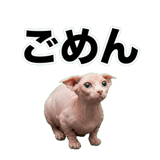 845762397