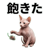 845762399