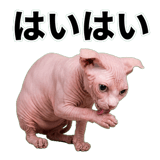 845762400