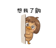 845762548
