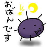 845763538