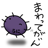 845763548