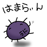 845763551