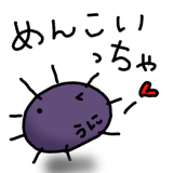 845763552