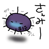 845763556