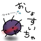 845763557