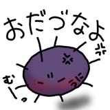 845763575
