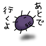 845763638