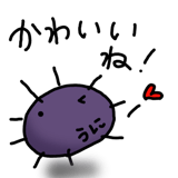 845763640