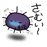 845763644