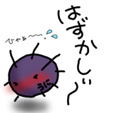 845763645
