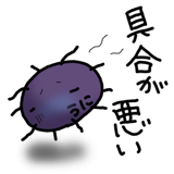 845763647