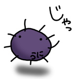 845763650
